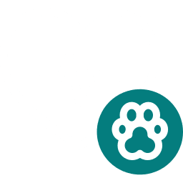 heart icon