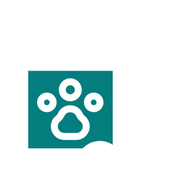 pet shampoo icon