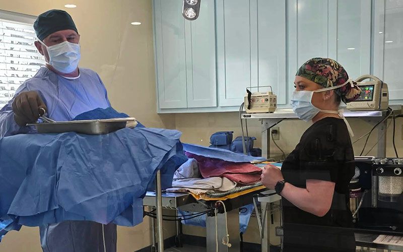 dr herrin and nurse doing a cats surgery