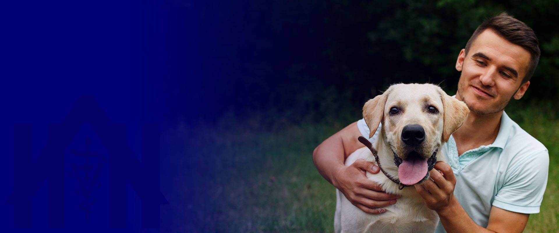 man holding his cute labrador dog