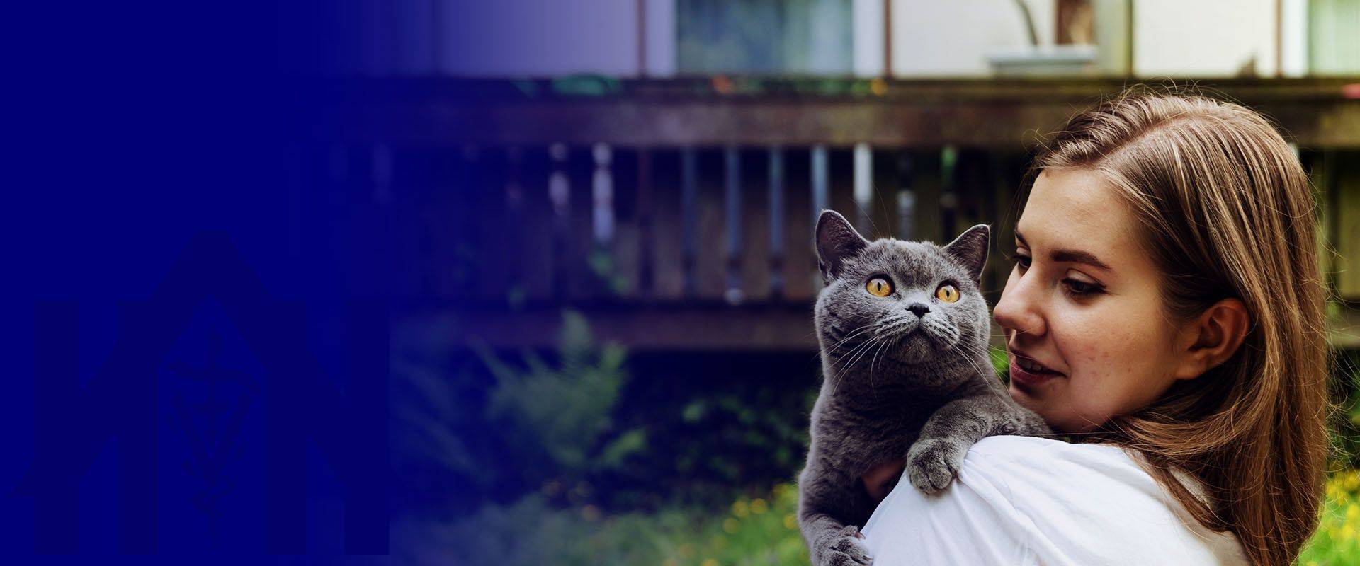 cute girl gently hugs cat
