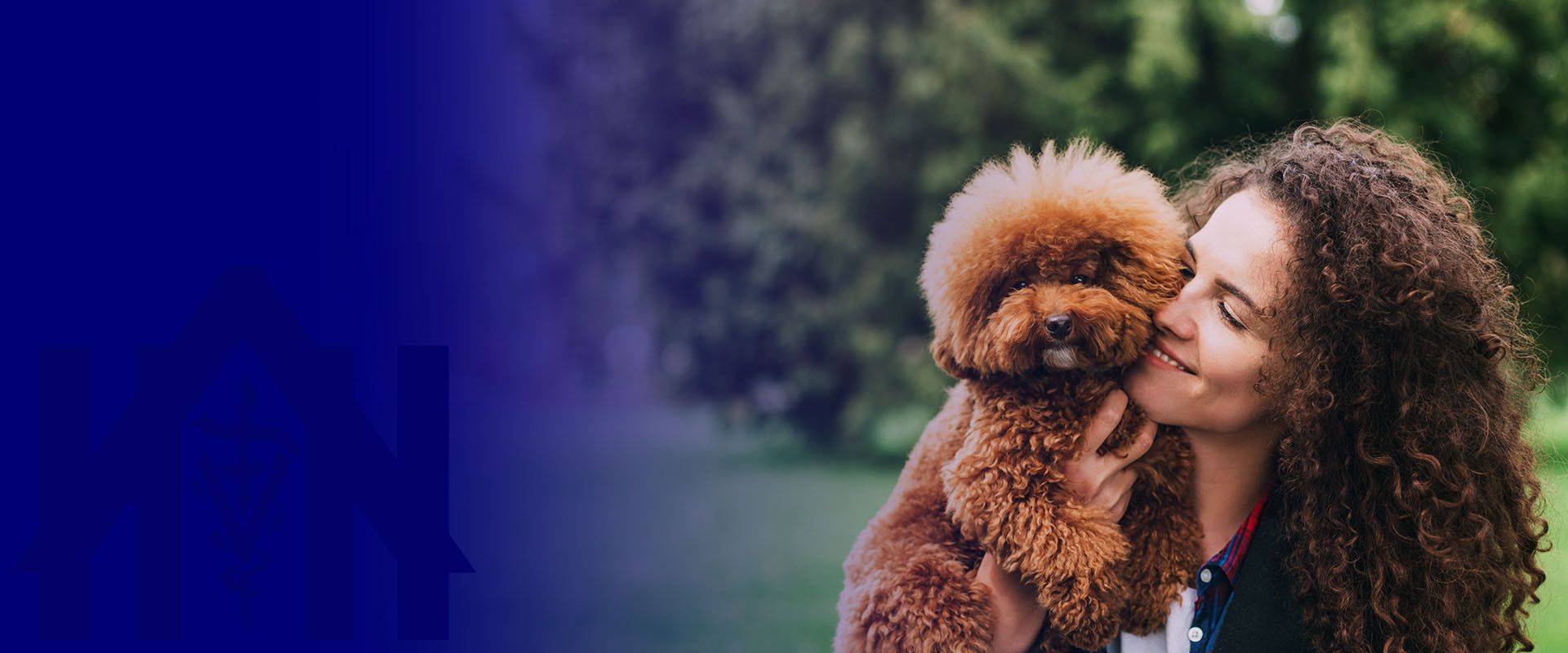 poodle dog with his young woman