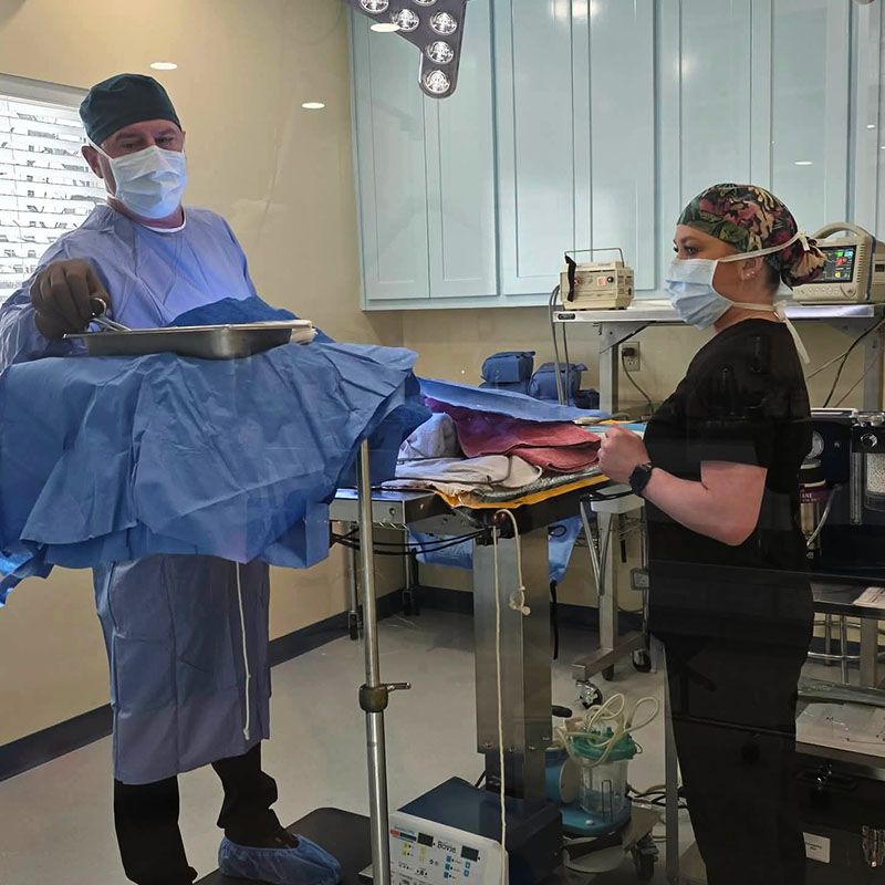 Dr. Herrin and nurse doing a cat surgery