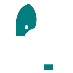 elizabethan collar icon