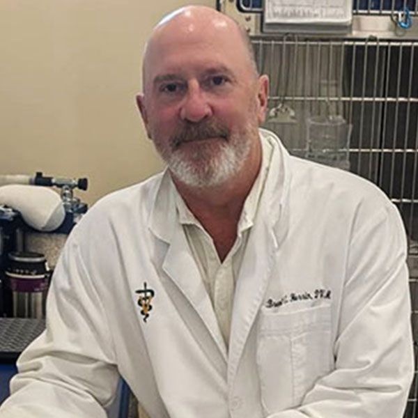 Dr. Brent E. Herrin